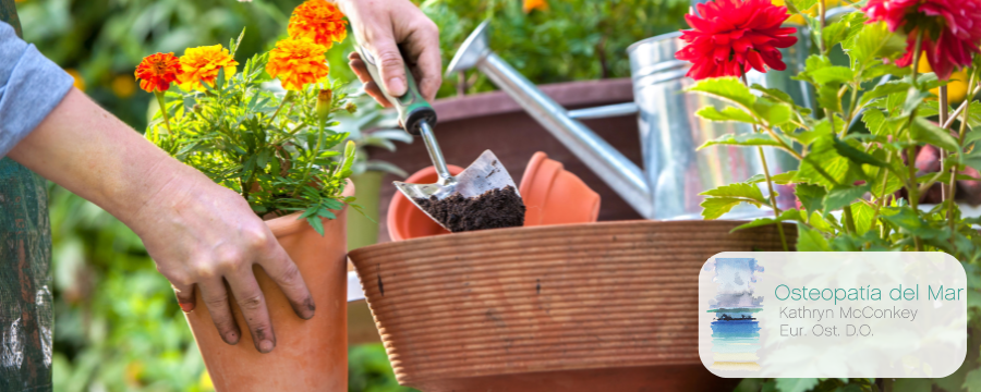 osteopatia-barcelona-jardineria-primavera-flores